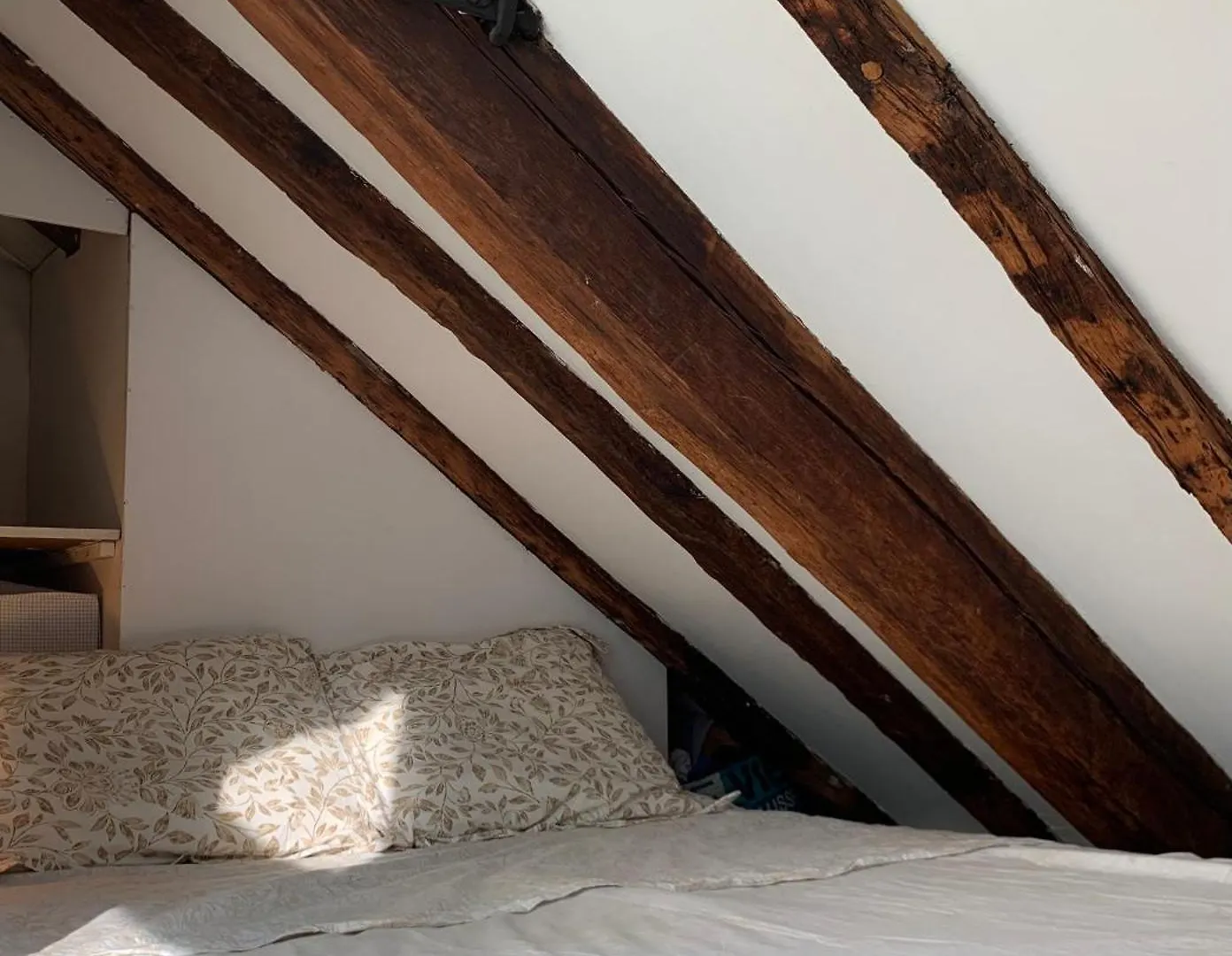 Cozy Mezzanine In The Heart Of アパート